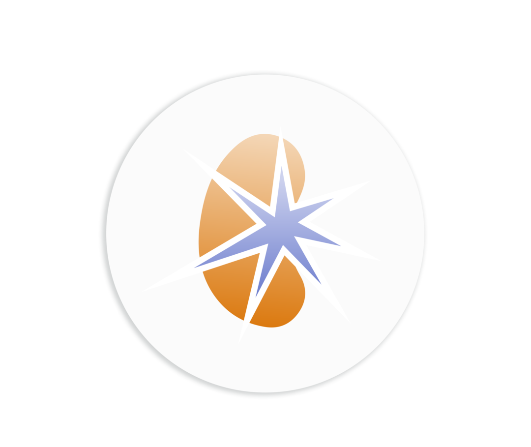 Schematische Darstellung einer Niere. Darüber eine sternförmige Struktur.