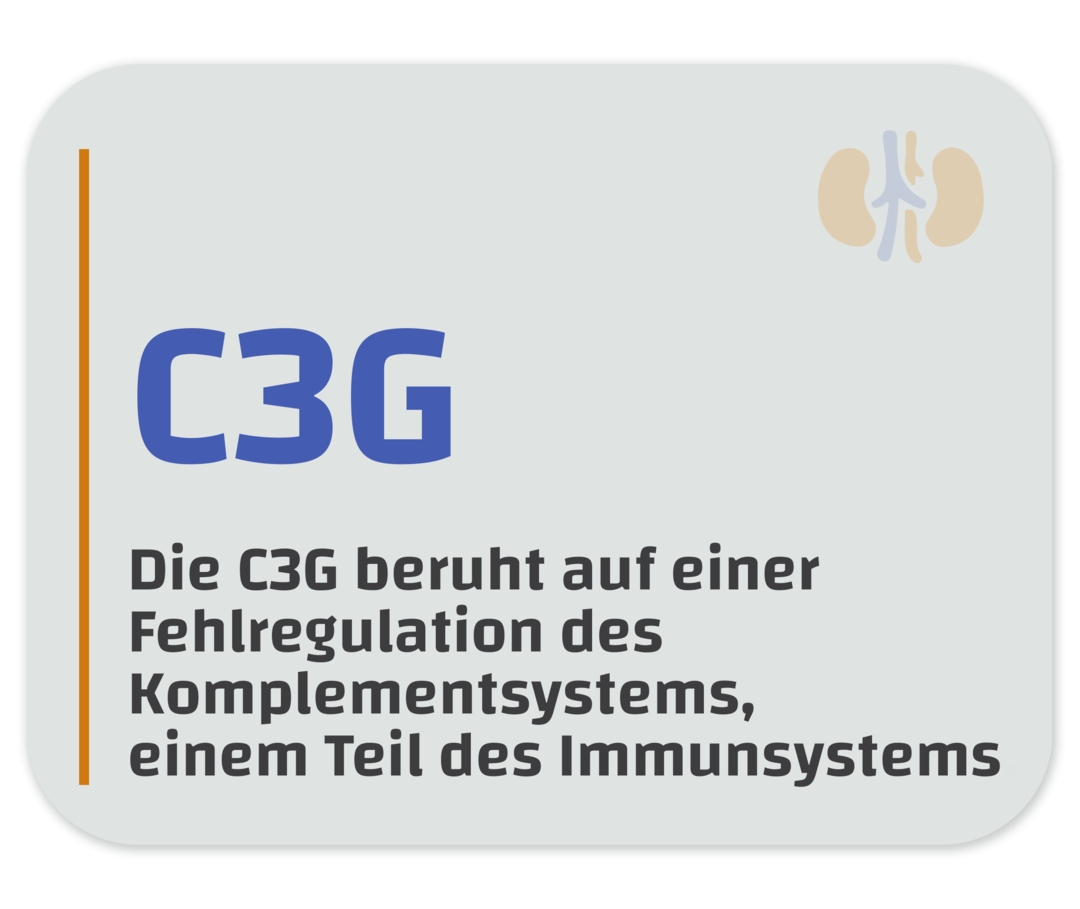 Seltene Nierenerkrankungen: C3G-Grafik Infografik mit dem Text „Die C3G beruht auf einer Fehlregulation des Komplementsystems, einem Teil des Immunsystems".