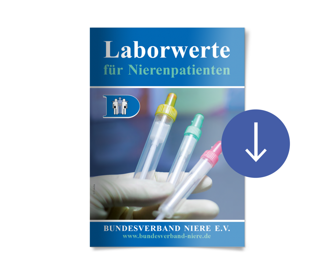 Patientenbroschüre „Laborwerte für Nierenkranke“ Erste Seite der Patientenbroschüre „Laborwerte für Nierenkranke“.