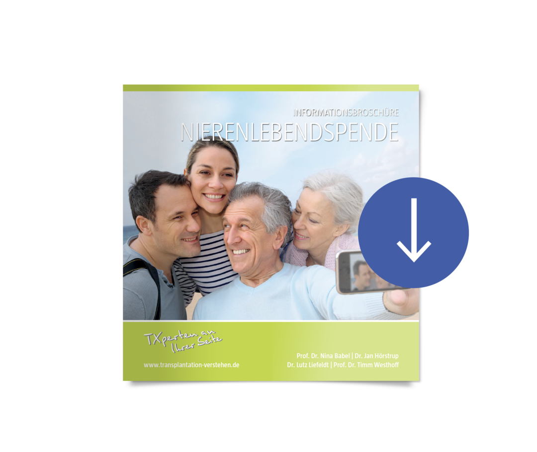 Informationsbroschüre „Nierenlebendspende“ Erste Seite der Informationsbroschüre „Nierenlebendspende“.