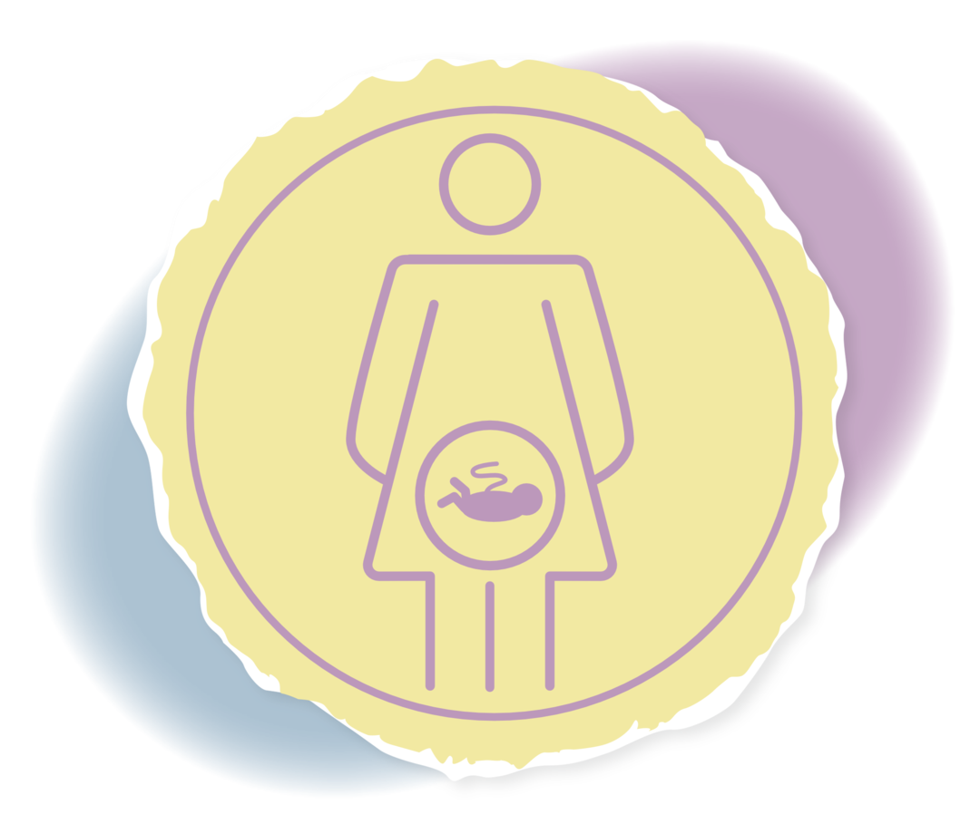 Icon: FABHALTA® und Schwangerschaft Schematische Darstellung einer schwangeren Frau.