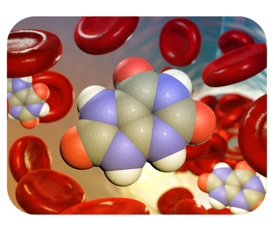 3D-Darstellung eines Harnsäuremoleküls im Blutkreislauf.