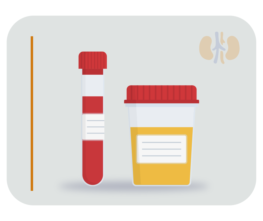 Links im Bild Grafik eines Blutröhrchens, rechts im Bild Grafik eines Urinbechers. 