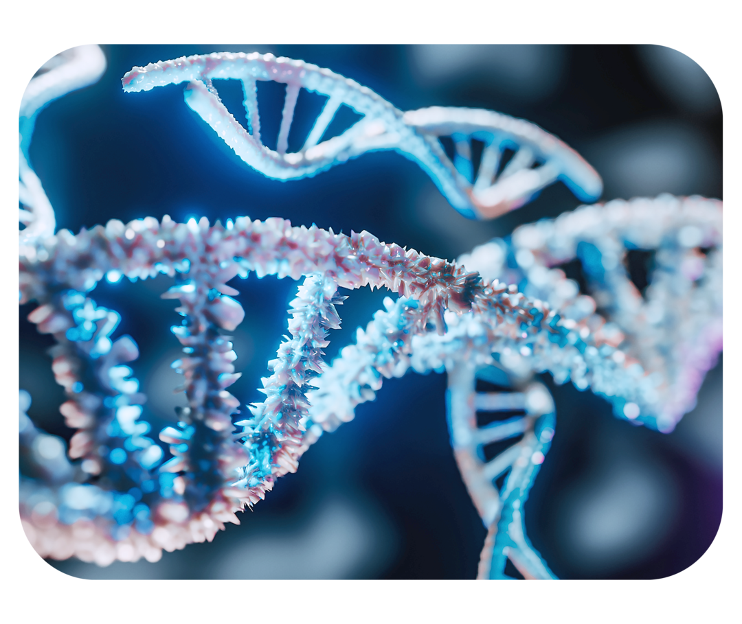 Ursache der C3G: Genetische Veränderungen Darstellung eines DNA-Strangs.