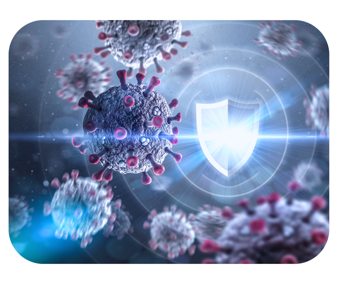 Grafik mit einem Schutzschild, das Viren abwehrt. 