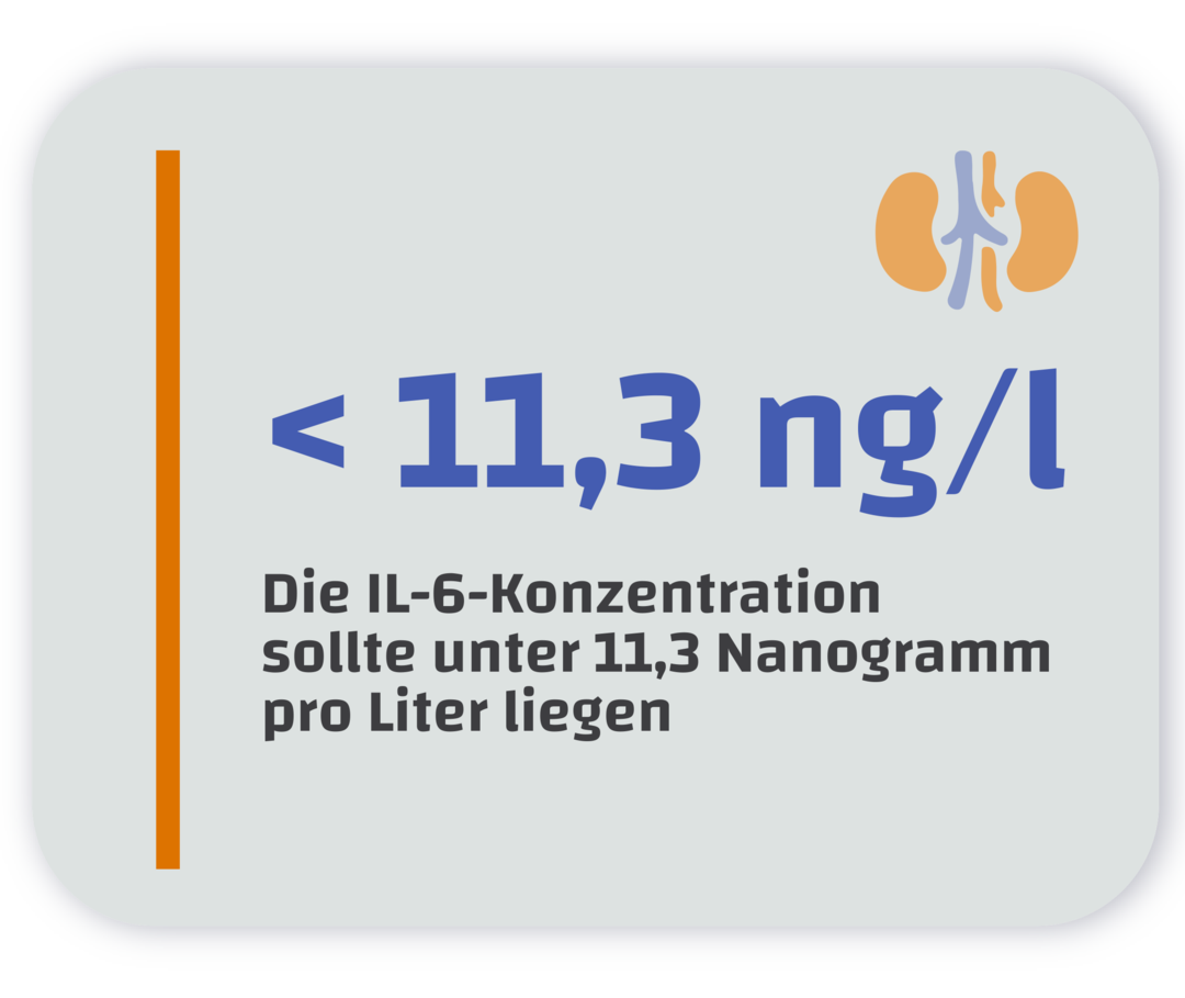 IL-6-Konzentration: Referenzwert Infografik mit dem Schriftzug: Die IL-6-Konzentration sollte unter 11,3 Nanogramm pro Liter liegen.