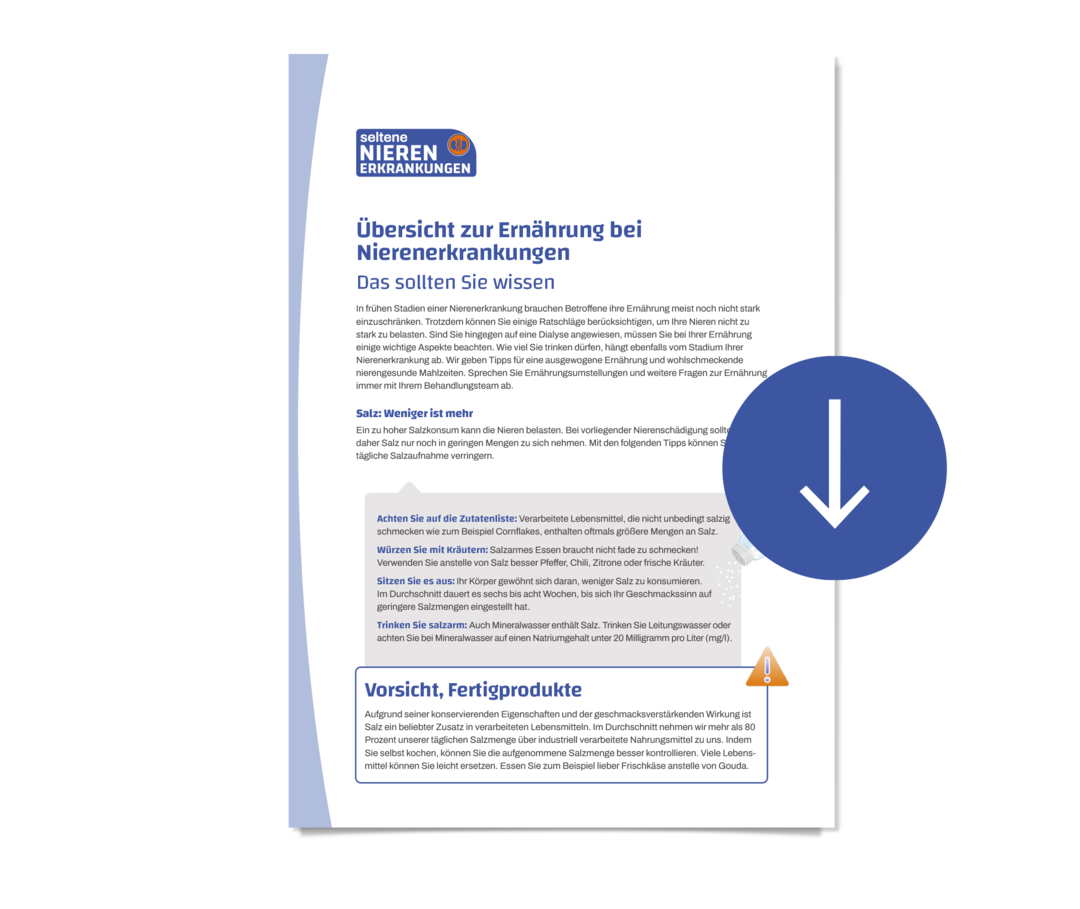 Erste Seite des PDFs „Übersicht mit Tipps zu Ernährung bei kranken Nieren“.
