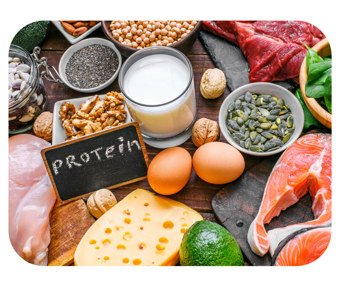 Verschiedene proteinreiche Lebensmittel, dazwischen ein Schild mit der Aufschrift „Protein“.